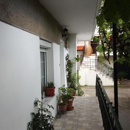 Big Apartment Near Olympus Mountain Litóchoron Dış mekan fotoğraf