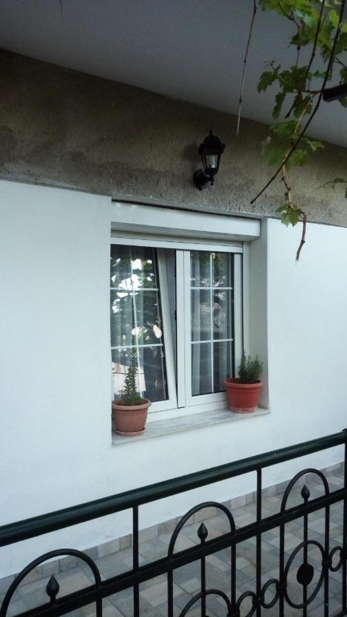 Big Apartment Near Olympus Mountain Litóchoron Dış mekan fotoğraf