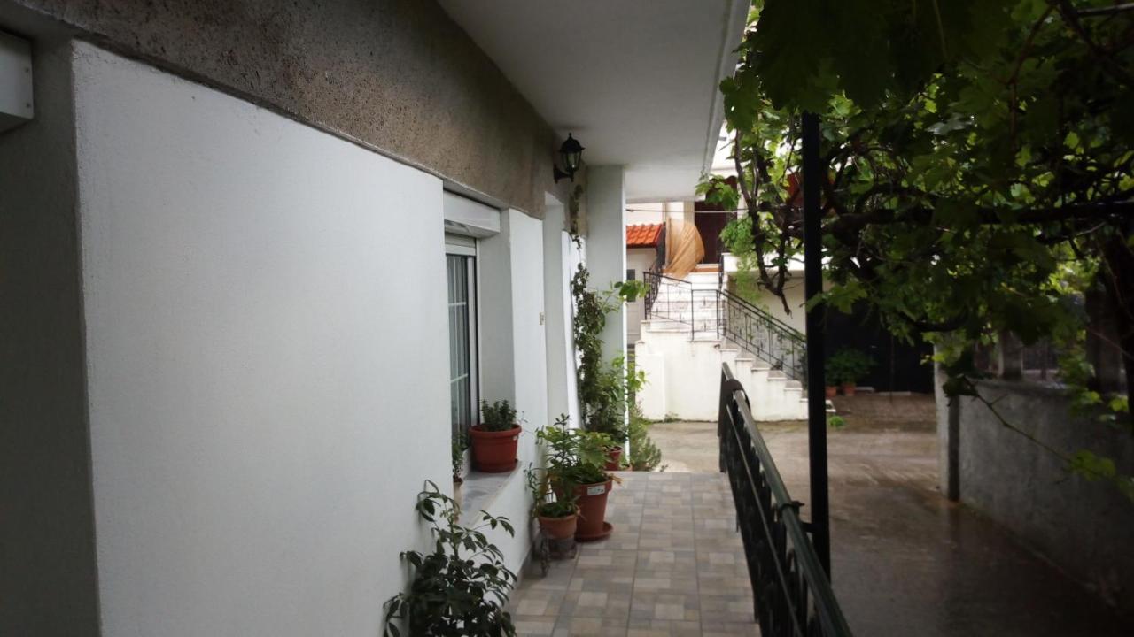 Big Apartment Near Olympus Mountain Litóchoron Dış mekan fotoğraf